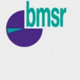 bau msr GmbH